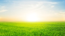 sunset over a green rural fields; Shutterstock ID 373311409