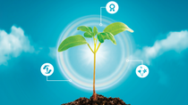 Illustrative representation of the key attributes of Axalion
