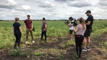 SORTED team interviewing Hannah Darby on a wheat field SORTED team interviewing Hannah Darby on a wheat field