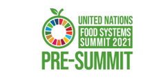 Green letters on white ground: Logo UN Food Systems Summit 2021 Pre-Summit