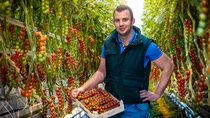 BASF’s new insecticide Axalion™ will be registered for use in a broad range of crops in the fruits and vegetable markets. Additional row crop uses extend to soybeans and other legumes, cotton and cereals. It will offer farmers a new and environmentally friendly option to control many problematic piercing and sucking insect pests, including whiteflies and aphids, that can cause devastating losses in their yield and subsequently revenue. BASF’s new insecticide Axalion™ will be registered for use in a broad range of crops in the fruits and vegetable markets. Additional row crop uses extend to soybeans and other legumes, cotton and cereals. It will offer farmers a new and environmentally friendly option to control many problematic piercing and sucking insect pests, including whiteflies and aphids, that can cause devastating losses in their yield and subsequently revenue.