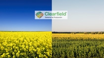 UY-colza-girasol-Clearfiled.jpg UY-colza-girasol-Clearfiled.jpg