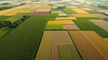 Aerial view of diverse agricultural fields in various colors forming a patchwork landscape in the countryside. 