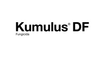 AR-logo-Kumulus-DF