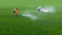 Two farmers spraying a field Two farmers spraying a field