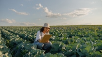 Female agronomist making notes on a cabbage field