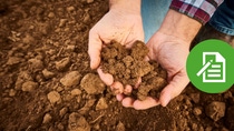 Two hands holding soil in a field. 