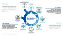 Nematodes Infographic: Problem, Solution, Effect, Outcome
