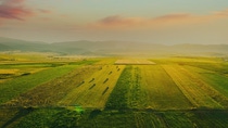 Aerial view of green and yellow fields under a vibrant sunset sky. 
