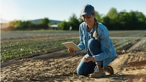 Farmer kneeling in field using tablet to monitor soil health for sustainable agriculture. 