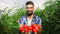 A man holding a bunch of tomatoes