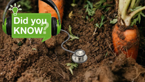 Did you know soil has a soundtrack of its own?