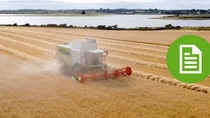 Combine harvester at work