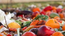 Different fruits and vegetables which are thrown away Different fruits and vegetables which are thrown away