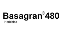 Imagén Basagran 480 Herbicida BASF Imagén Basagran 480 Herbicida BASF
