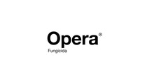 AR-logo-Opera AR-logo-Opera