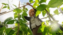 Woman farmer in the field