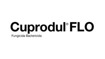 AR-logo-Cuprodul-FLO