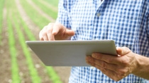 Close Up Of Farmer Using Digital Tablet On Organic Farm Close Up Of Farmer Using Digital Tablet On Organic Farm
