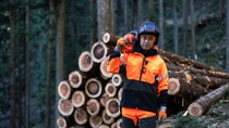 Portrait of a forest worker taken in front of a pile of logs.