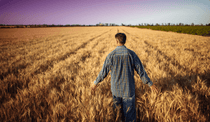 Farmer in the field Farmer in the field