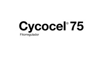 AR-logo-Cycocel-75 AR-logo-Cycocel-75