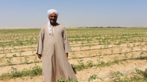 Farmer standing on a field