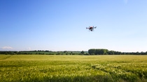 The automated image recognition technology can, e.g. supported by drones, determine the species and quantity of plants, pests and diseases in greenhouse and field trials.. The automated image recognition technology can, e.g. supported by drones, determine the species and quantity of plants, pests and diseases in greenhouse and field trials..