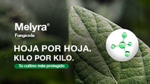 AR-melyra-hojaxhoja-TEASER AR-melyra-hojaxhoja-TEASER