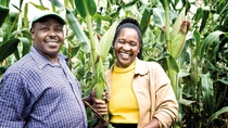 A female and a male farmer in the middle of a corn field