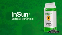 AR INSUN Semillas de Girasol TEASER AR INSUN Semillas de Girasol TEASER
