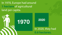 Agricultural land per capita - Europe | STATISTA Agricultural land per capita - Europe | STATISTA