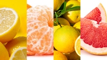 UY-citricos-cultivo-mandarina-limon-pomelo-naranja