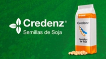 AR CREDENZ Semillas de Soja TEASER AR CREDENZ Semillas de Soja TEASER
