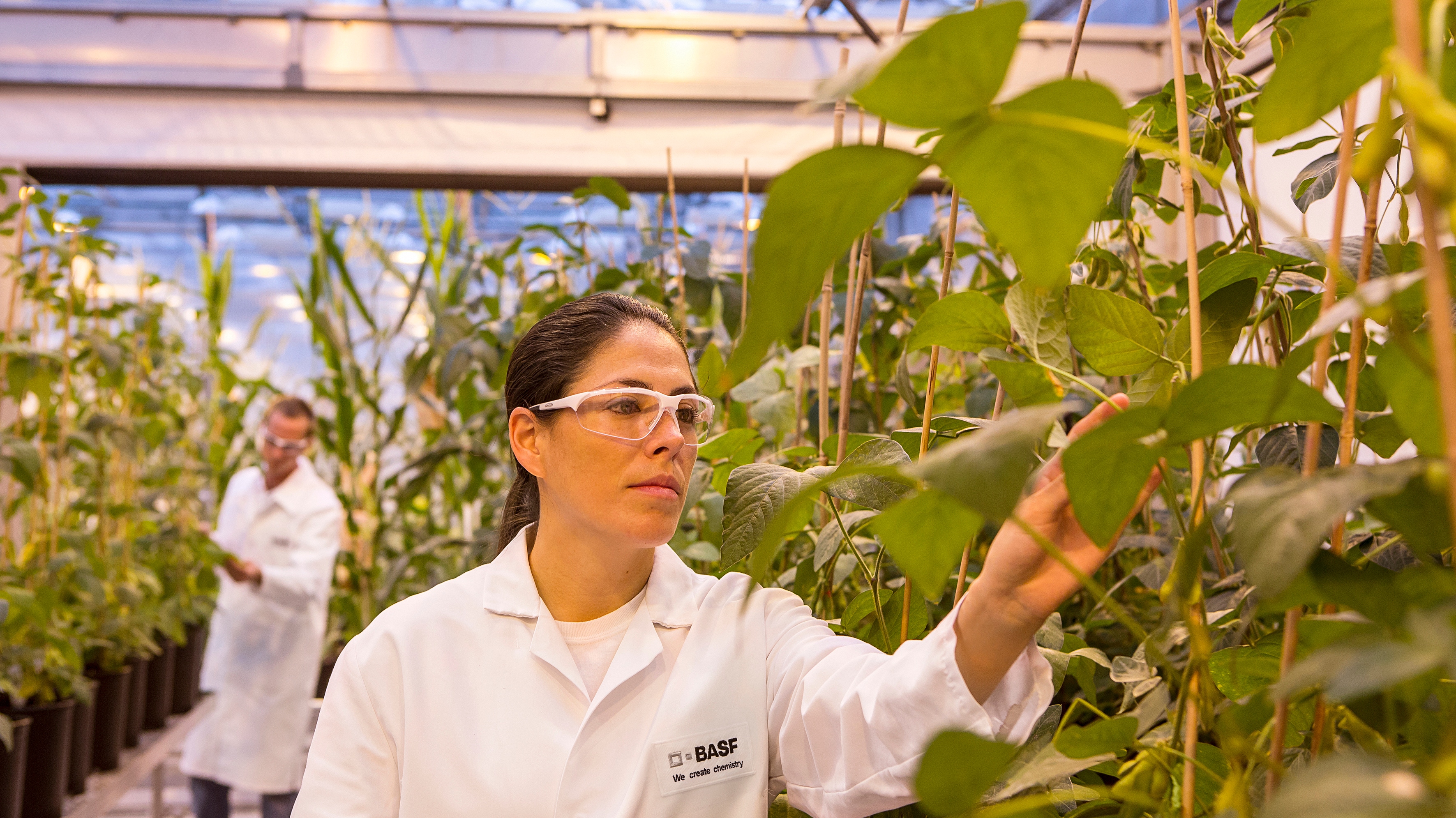 Innovations in Agriculture | BASF Global
