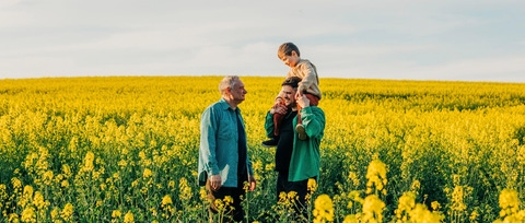Father carrying son on shoulder next to grandfather in rapeseed field