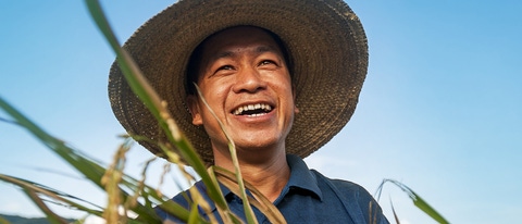 Farmer smiling while holding a harvested rice plant