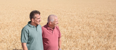 Hombres uno al lado del otro en el campo de cultivo BASF Argentina