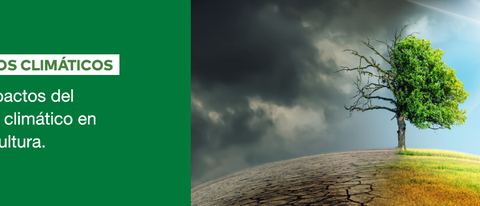 AR-Agricultura-y-cambio-climático-BANNER AR-Agricultura-y-cambio-climático-BANNER