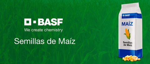 AR Semillas de Maiz BANNER AR Semillas de Maiz BANNER