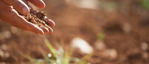 Man holding soil, close-up of hand