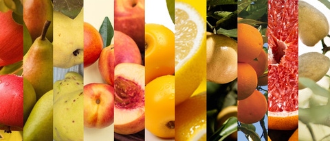 AR-manzana-pera-membrillo-durazno-pelon-nispero-limon-mandarina-naranja-pomelo-almendra