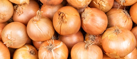 PY-Cebolla02 PY-Cebolla02