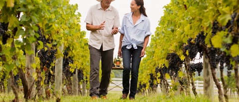 Hombre y mujer caminando entre vides Hombre y mujer caminando entre vides