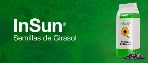 AR INSUN Semillas de Girasol BANNER AR INSUN Semillas de Girasol BANNER
