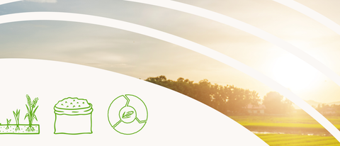 Header pagina Provisia