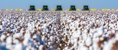 Correntina, Bahia, Brazil, February 26, 2019: Agriculture - Machines in formation harvesting ripe cotton, high productivity, aerial image, cotton bales in the field, blue sky - Agribusiness; Shutterstock ID 1662184774; purchase_order: ; job: ; client: ; other: 