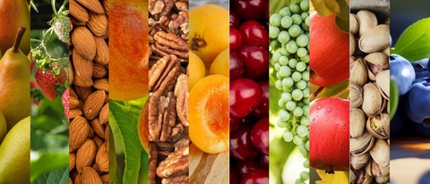 AR Soluciones para frutales