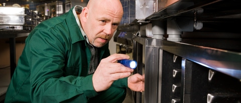 H 431  Betriebsgaststätte 1  Schädlingsbekämpfung / Kontrolle