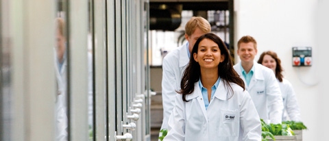 Our team of workers in a greenhouse Our team of workers in a greenhouse